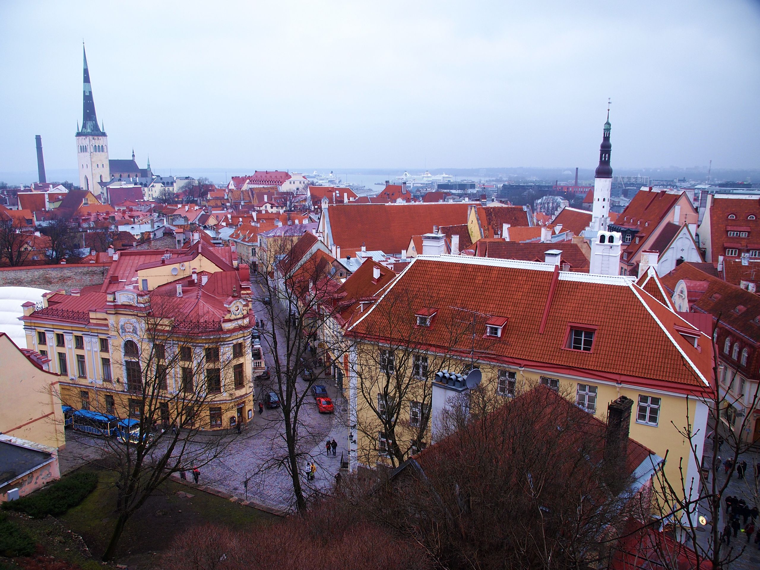 Aerial view of Tallinn Old Town, Estonia